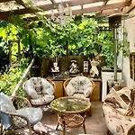 Spitzwegerich By Interhome Kappe