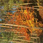 Spitzwegerich By Interhome Apartment *