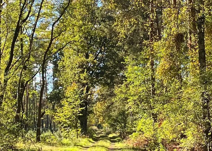 Apartment Spitzwegerich By Interhome *