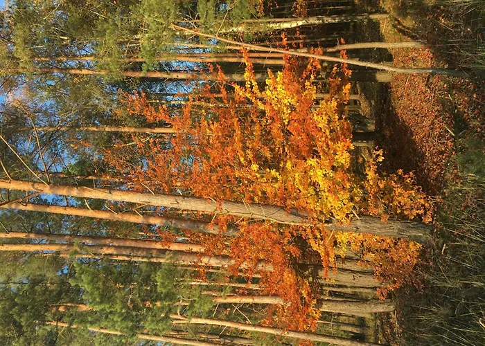 Spitzwegerich By Interhome Apartamento *